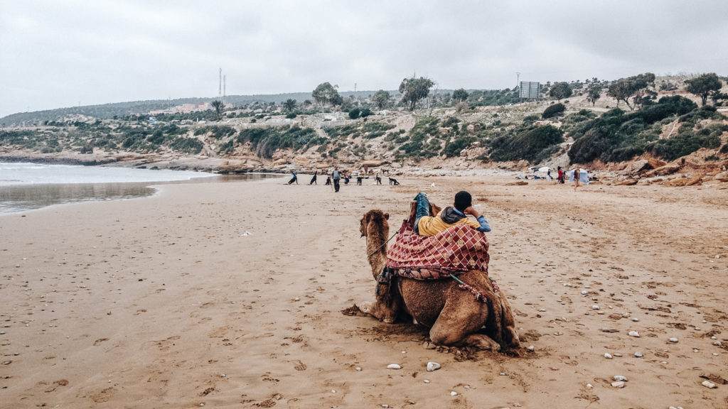 Siesta na velbloudu v Maroku